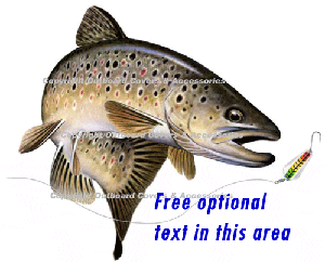 Brown Trout with Text