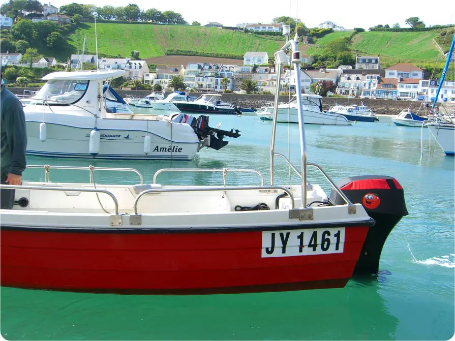 testimonial-Merc-Tomato